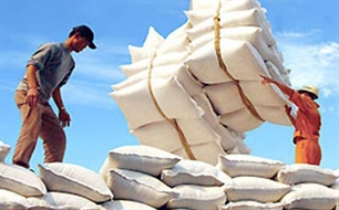 Rice exports likely to reach seven million tonnes in 2011